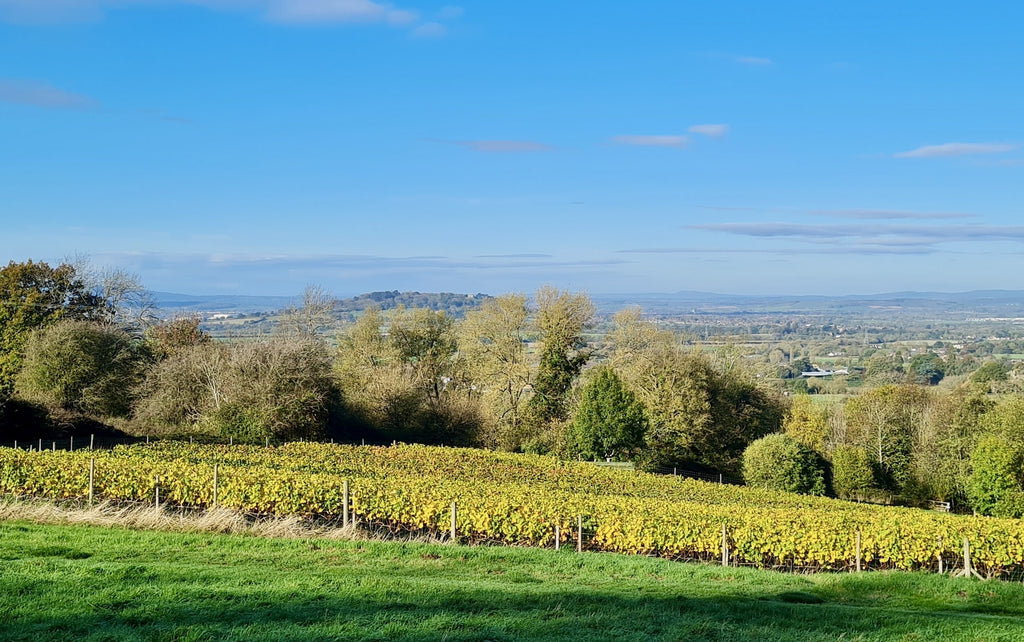 Dryhill Wine | Dryhill Wine